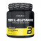 BioTech 100% L-Glutamine (240 g, unflavored)