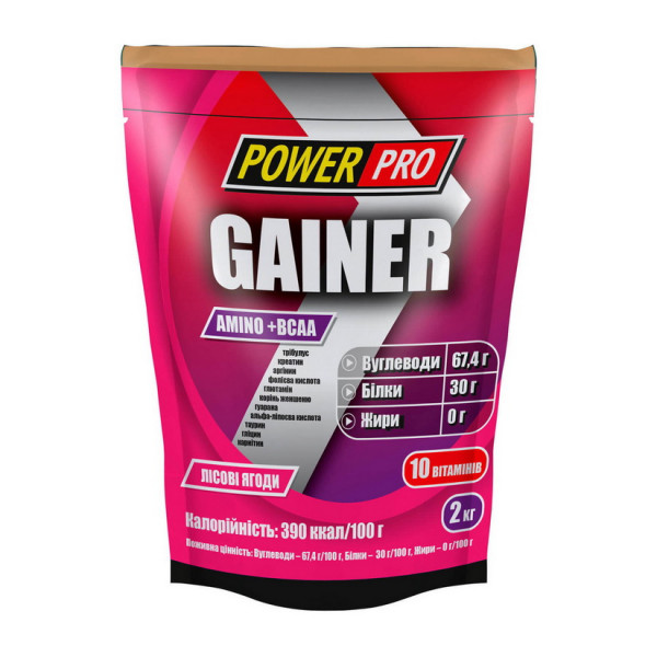 Gainer (2 kg, irish cream) Power Pro