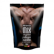 Protein Power MIX (1 kg, циннамон)