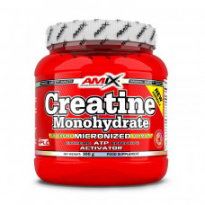 AMIX Creatine Monohydrate (вм'ятина на банці) (300 g)