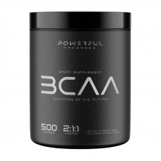 BCAA 2:1:1 (500 g, lemon & lime)