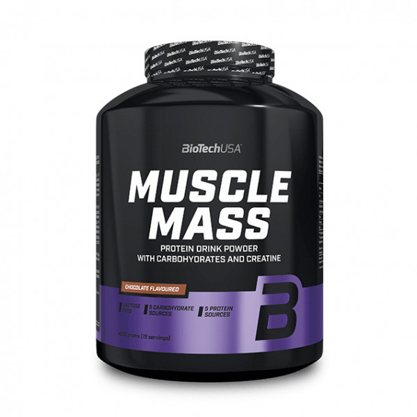 BioTech Muscle Mass (4 kg, strawberry)