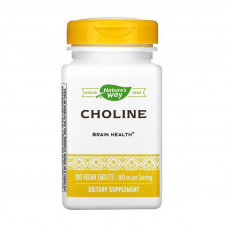 Nature's Way Choline 500 mg (100 veg caps)