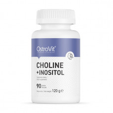 Choline + Inositol (затертий термін придатності) (90 tabs)