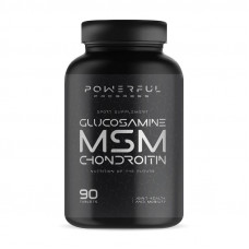 Glucosamine-Chondroitin + MSM (90 tab)