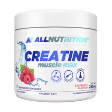 All Nutrition Creatine Muscle Max (250 g, orange)