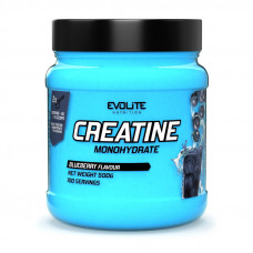Evolite Nutrition Creatine Monohydrate (вм'ятина на банці) (500 g, strawberry)