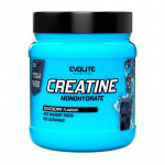 Evolite Nutrition Creatine Monohydrate (500 g, blueberry)