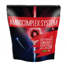 Power Pro AminoComplex System (500 g, журавлина)